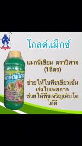 โกลด์แม็กซ์ แมกนีเซียม ตราปีศาจ (1 ลิตร) ช่วยให้ใบพืชเขียวเข้ม เร่งใบเพสลาด ช่วยให้พืชเจริญเติบโตได้ดี