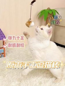 【Cat Stick Toy】Cat Pet Teaser Play Bell Feather Stick Interactive Funny Toy
