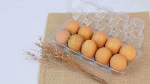 Mika Tray Telur isi 10 Butir Mika Telur Ayam Bebek Egg Tray Premium 1 Pack Isi 10