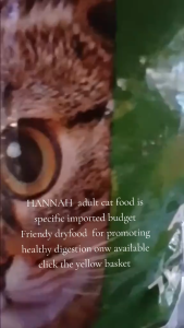 20kg Hannah Premium Dry Food Complete Daily Nutrition Growth All Stages Adult Kitten Cat Cats Pet