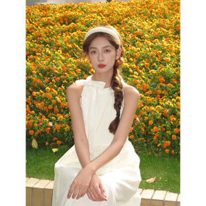 Elegant French Style Long Dress with Bow Knot Neckline for Women Summer Season A-Line Silhouette Casual Commute Fashion