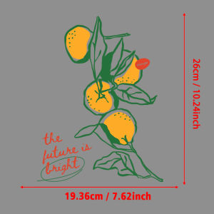 The Future is Bright Oranges Art Print Heat Transfer Stickers DIY Iron-on Decals Perfect for DIY T-shirtsPillowsBags
