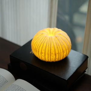 Creative Shell Night Light Bedroom Decorative Glowing Atmosphere Lamp Shell Sculpture Bedside Lamp Shell And Urchin Design
