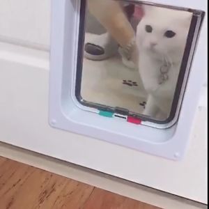 ประตูสุนัข แบบ ABS 2 ชุด เส้นกระดูกแมวเข้าออก ทำจากวัสดุ กันแอร์ออก สามารถป้องกันสัตว์เลี้ยง สัตว์เลี้ยงสองทาง