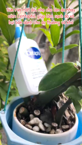 Sữa rữa mặt dịu nhẹ Cetaphil Gentle Skin Cleanser 591ML (tách set 1 chai lẻ)