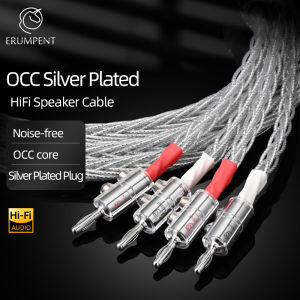 ERUMPENT HiFi Speaker Cable Hi-end OCC Speaker Cable for Car Audio Home Theater Audio Wire Connecting Cable Erumpent Speaker Cables