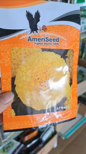 (Gói 350 hạt) Hạt Giống Hoa Vạn Thọ Thái Lùn F1 - AFM 45: Vàng Chanh AMERISEED