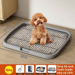 Khay Vệ Sinh Cho Chó Mọi Kích Cỡ Không Gian Lớn Kim Loại
