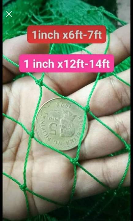 100 meters -1 inch x6ft -Promo Net /Range Net/Chicken Net/Poultry Net ...