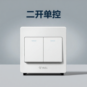 Bull | 2-Way Single Control Switch Panel White