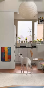 CATRY Visual Colour Cat Scratching Board / Multi-Functional Cat Toy / Cat Scratching Post Suitable for Pets and Humans / Home Decor Cat Scratching Pole / Highly Practical Cat Scratching Board Durable and Scratch-Resistant Cat Scratcher