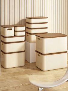 XINGYOU | Desk Organizer Box Rectangular With Lid