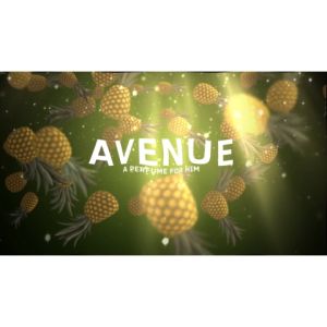 PERFUME PARFUM EDP MINYAK WANGI KEEF & NISH AVENUE
