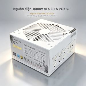 T.F.SKYWINDINTL | Bộ Nguồn Máy Tính Để Bàn/server 1000W ATX 3.1 & PCIe 5.1 Đạt Chứng Nhận 80PLUS GOLD 100-240V PFC Chủ Động Quạt FDB Siêu Êm
