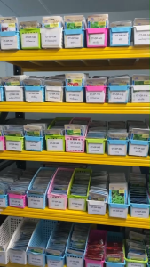 กุยช่าย CT-OP-168กุยช่าย ผักซอง เจียไต๋ กุยช่าย เมล็ดพันธุ์ผัก เมล็ดผัก เมล็ดพืช ผักสวนครัว ประมาณ250 เมล็ด
