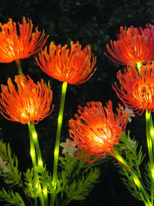 BEAUTY IN THE LIGHT | Outdoor Solar Garden Light for Landscape Decoration