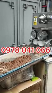 Máy Tạo Viên Đông Y Tự Động AW97S Nằng Suất 50 kg/h kết hợp trộn bột tạo viên sấy khô đánh bóng