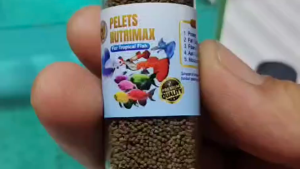 Nutrimax Premium Fish Pellet – Pelet Ikan Botol Kaca Original Berkualitas Tinggi