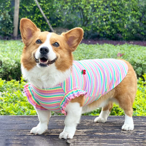 Arnold Pet Summer Thin Breathable Dog Vest Lightweight Casual Style for Small to Medium Breeds like Bichon Corgi Teddy Shiba