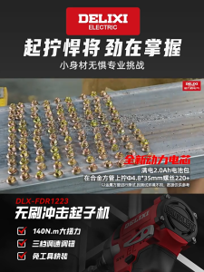 DELIXI 16.8V Cordless Impact Screwdriver 6.35mm | 30/70/140N·m | 1230/2750/3450RPM | 2 Batteries + Charger