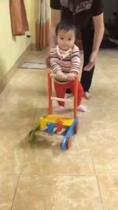 Xe tập đi gỗ - xe gà tập đi hình con gà cho bé