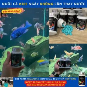 Hỏa Tốc. 100 -200 viên nén vi sinh cho bể cá thế hệ mới của Nhật 365 ngày không cần thay nước trong bể nước thủy sinh