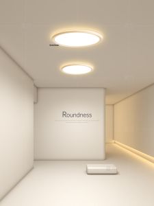 Minimal Creative Ceiling Light LED