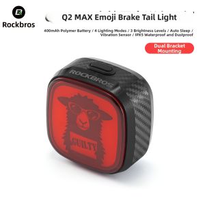 RockBros | Smart Induction Brake Light Night Ride Tail Light