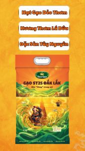 Gạo ST25 Đắk Lắk Vua Gạo - Hàng Chính Hãng - Túi 5kg