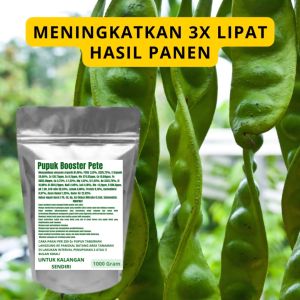 Pupuk Booster Pete Pelebat Organik Cepat Berbuah Lebat Besar Anti Rontok Pembesar Pete