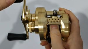 SHIMANO 22 & 21 CALCUTTA CONQUEST BAITCASTING(BC) REEL