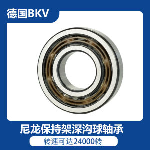 BKV รีลิฟเฟอร์แบริเออร์ 6304 6305 6306 6307 รีลิฟเฟอร์แบริเออร์ไนลอน แบริเออร์มอเตอร์ความเร็วสูง แบริเออร์ลึก แบริเออร์ลูกกลิ่น