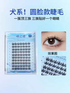 Dog Series round Eye Fake Eyelashes Dog Cartoon Eyelash Eyelash Thick Segmented Large Capacity Bean Bag Trilogy