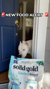 (4-10kg) Solid Gold อาหารสุนัข มีครบทุกสูตร สูตรสุนัขโต & สูตรลูกสุนัข for dog