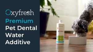 Oxyfresh Pet Dental Care - Pet Water Additive for Dogs and Cats (100ml/473ml)