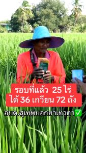 B-Organic Plus บีออร์แกนิคพลัส 500ซีซี 2ขวด แถม บีออร์แกนิคพลัส ขนาด 100 ซีซี จำนวน 1ขวด