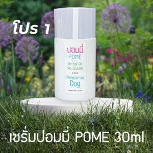 เซรั่มปอมมี่บำรุงขนปอม ขนช็อต ผิวดำ ให้ใช้ปอมมี่ POME เซรั่มปอมมี่ขนาด 30 ml 1 ขวด