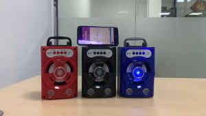 Wireless Speaker Portable Bluetooth Speaker With Microphone Colorful LED Light Rechargeable Party Karaoke Speaker Supports TF Card/USB FM Radio