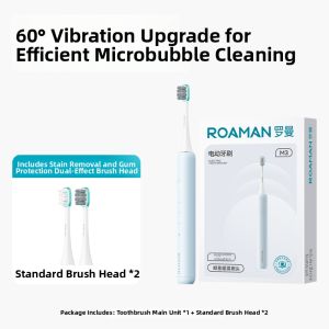 Bear | Sonic Vibrating Electric Toothbrush For Couples Gift