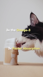 PawmisedLand Catty FishCreme | Salmon & Fish Oil For Cats | Omega 3 | Cat Treats | Pet Treats