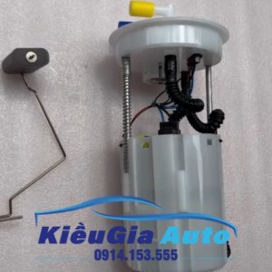Cụm bơm xăng Chery Riich M1 S121106610
