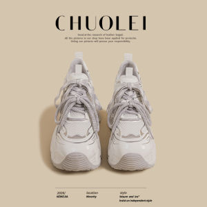CHUOLEI | New Vintage Paris Thick Sole Womens Dad Shoes Dual Laces