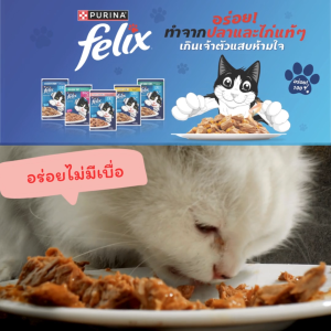 Purina Felix Cat Food in Jelly อาหารเปียกแมว เฟลิกซ์ อาหารแมว เกรดคุณภาพ โดยเพียวริน่า อาหารซอง สำหรับแมวโต ลูกแมว 85 กรัม