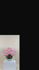 Akara Dokmaii กระถางกล้วยไม้ประดิษฐ์ กล้วยไม้ฟาแลนจัดพร้อมกระถางเซรามิค