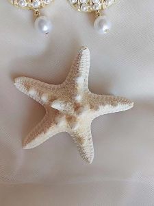 Star Fish Tail Princess Mermaid Hair Clip Side Hair Clip Bangs Clamp Photography Props Celebrity Style Korean Fashion Accessory