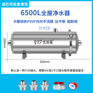 Household Direct Drinking Ultrafiltration Whole House Water Purifier