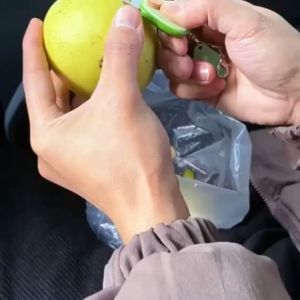 Okey Shop 1pc Compact Peeler | Stainless Steel Blade Mini Portable Peeler - Cute Avocado Design Stainless Steel Retractable Blade Lightweight & Easy to Use