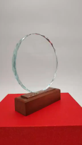 GLASS PLAQUE AWARD TROPHY HEIGHT:18CM(CUSTOMIZE AVAILABLE)620-8