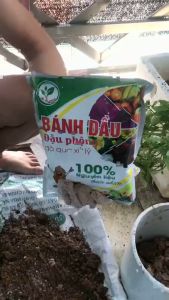 Phân Bón Hữu Cơ Bánh Dầu Đậu Phộng Đã Qua Xử Lý Dùng Ủ Và Bón Hoa Cây Kiểng Rau gói 1kg