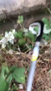 【ทำจากเหล็กแมงกานีสแท้100%】เคียวเกี่ยวหญ้า เคียวแมงกานีส 25/40/60/80CM อเนกประสงค์ ใช้สำหรับ ตัดไม้ ตัดหญ้า ตัดแต่งกิ่งไม้